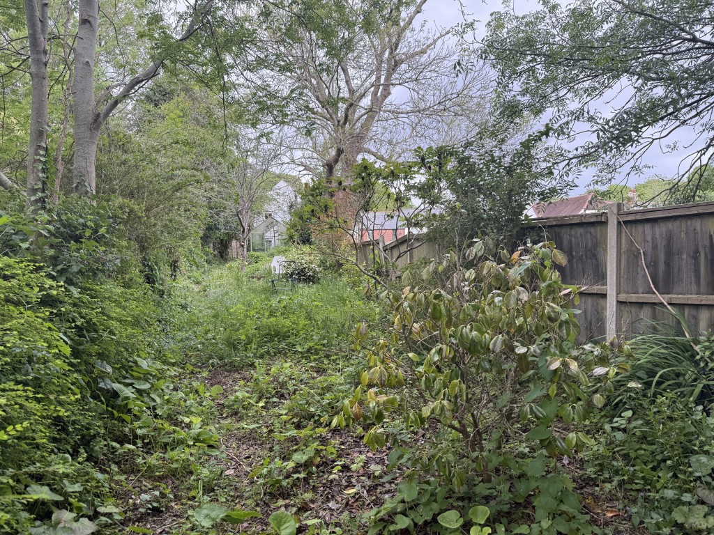 Lot: 146 - FREEHOLD HOUSE FOR INVESTMENT - Mature garden